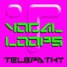 Vocal Loops Vol 5