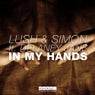 In My Hands (feat. Delaney Jane)