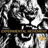 Experimental Movement