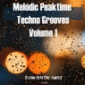 Melodic Peaktime Techno Grooves Volume1