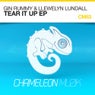 Gin Rummy & Llewelyn Lundall - Tear It Up EP
