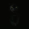 THE PANTER.....TECH HOUSE