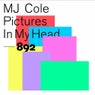 Pictures in My Head