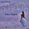 Dreams Take Flight