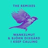 I Keep Calling (Remixes)