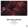 Why I Still Love You