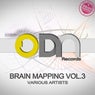 Brain Mapping Vol 3