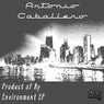 Product Of My Environment EP