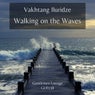 Walking on the Waves