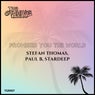 Promised You The World (Original Mix)