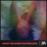 What You Won't Do For Love