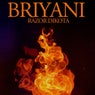 Briyani