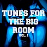 Tunes For The Big Room, Vol. 1