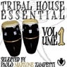 Tribal House Essential Vol 1 - Selected by Paolo Madzone Zampetti
