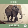 Ana Saya (Rameff Remix)