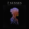 7 Senses (feat. Kirsa Moonlight)