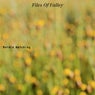 Files Of Valley