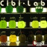 Cibilab 11-11-11