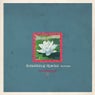 Something Special Remixes