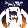Charles J Feat AnA - What's Love
