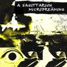 Microdreaming