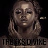 Trecks Divine, Vol. 2 (The Special Tech House Selection)