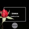 Zinnia