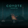 Coyote - Midnight Mix
