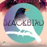 Blackbird EP
