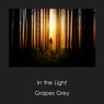 In the Light