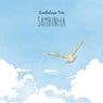 Sambinha