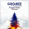Zaśnieżone Miasta