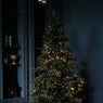 O Christmas Tree