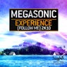 Experience (Follow Me) 2k10