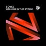 Walking In The Storm (Extended Mix)