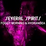 Foggy Morning And Hydrangea
