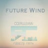 Future Wind