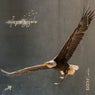 Inyon'zezulu (The eagle scream)