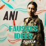 Fausses idees