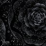 White Stone (Extended Mix)