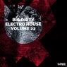 Big Dirty Electro House, Vol. 22