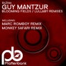 Blooming Fields / Lullaby Remixes