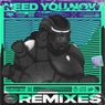 Need You Now (Remixes)