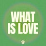 What is Love  (Babes on the Run Remix)