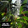 Tropical Groove