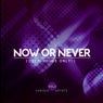 Now Or Never, Vol. 2 (Deep-House ONLY!)
