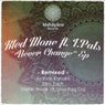 Never Change (Remixes)