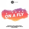 A Year On A Fly
