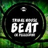 Tribal House Beat