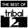The Best Of Tribal Volume 2